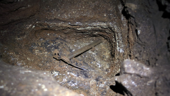 Останки древнего носорога Мерка обнаружены в пещере Приморья
