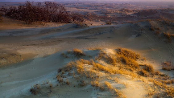 Нашествие песков: метаморфозы Куршской косы