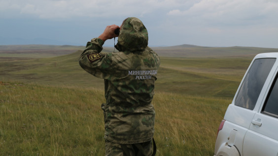 Хакасский заповедник представил опыт сохранения лошади Пржевальского на международной встрече