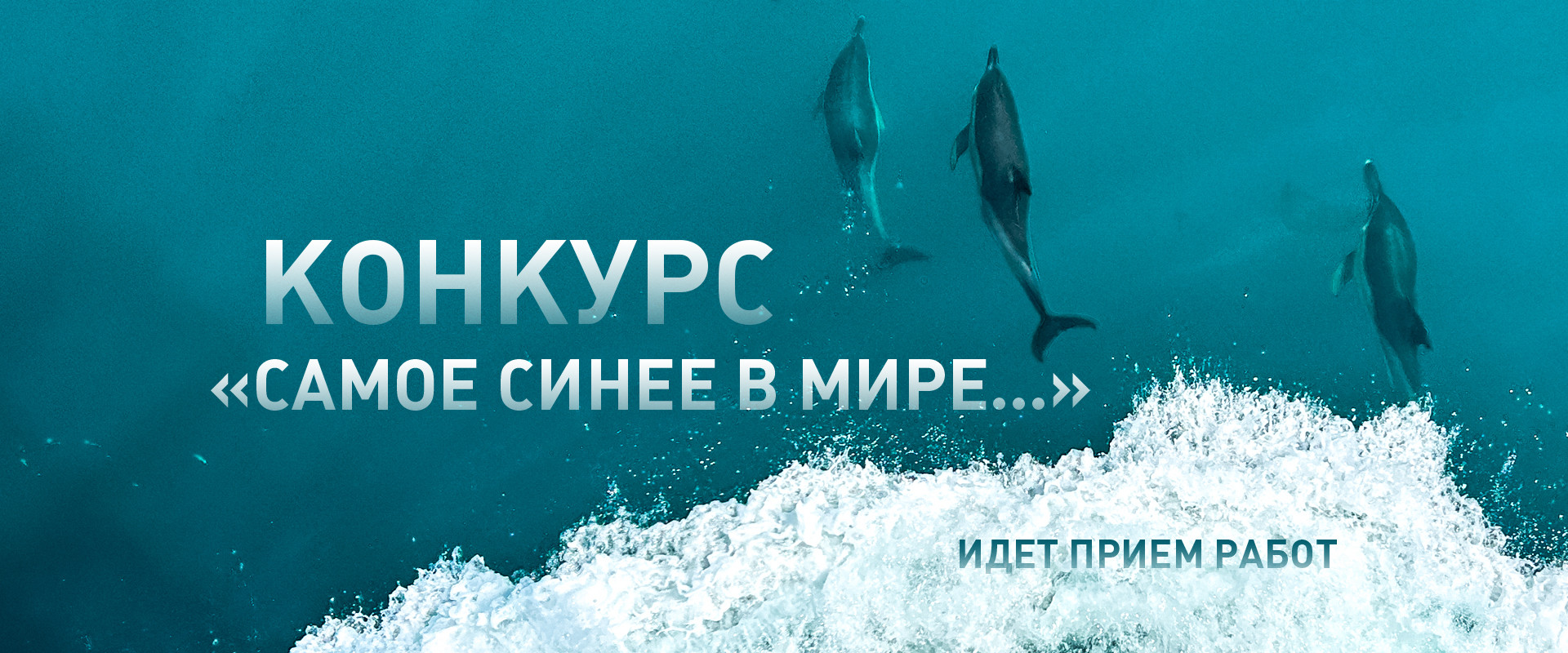 Самое синее в мире