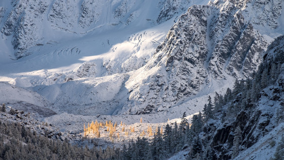 Феномен безграничной Сибири: эксперты РГО обсудили потенциал уникального региона