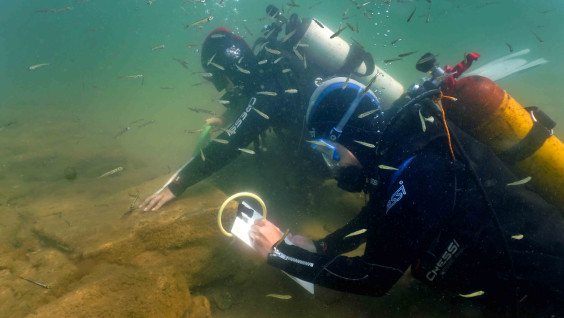 СевГУ подготовил онлайн-курс и учебник по подводной археологии