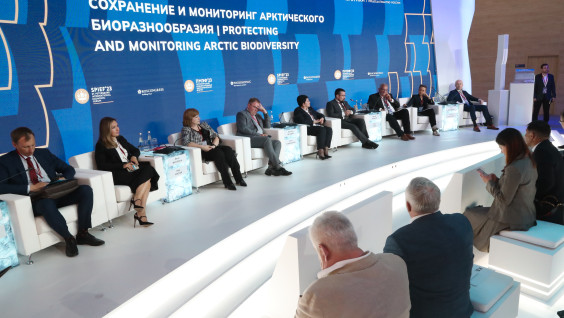 Диалоги об Арктике: на ПМЭФ обсудили проекты по устойчивому развитию заполярных территорий
