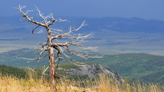 Alkhanai: a Natural Temple of Northern Buddhism
