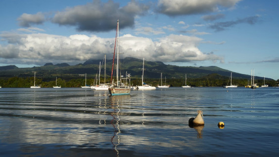 Эль-Ниньо, укус акулы и жара: кругосветка РГО достигла Таити