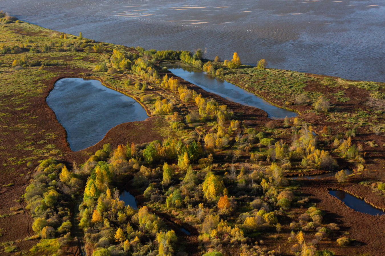 Васюганские болота. Фото: Дарья Афонасова, участник конкурса РГО «Самая красивая страна»