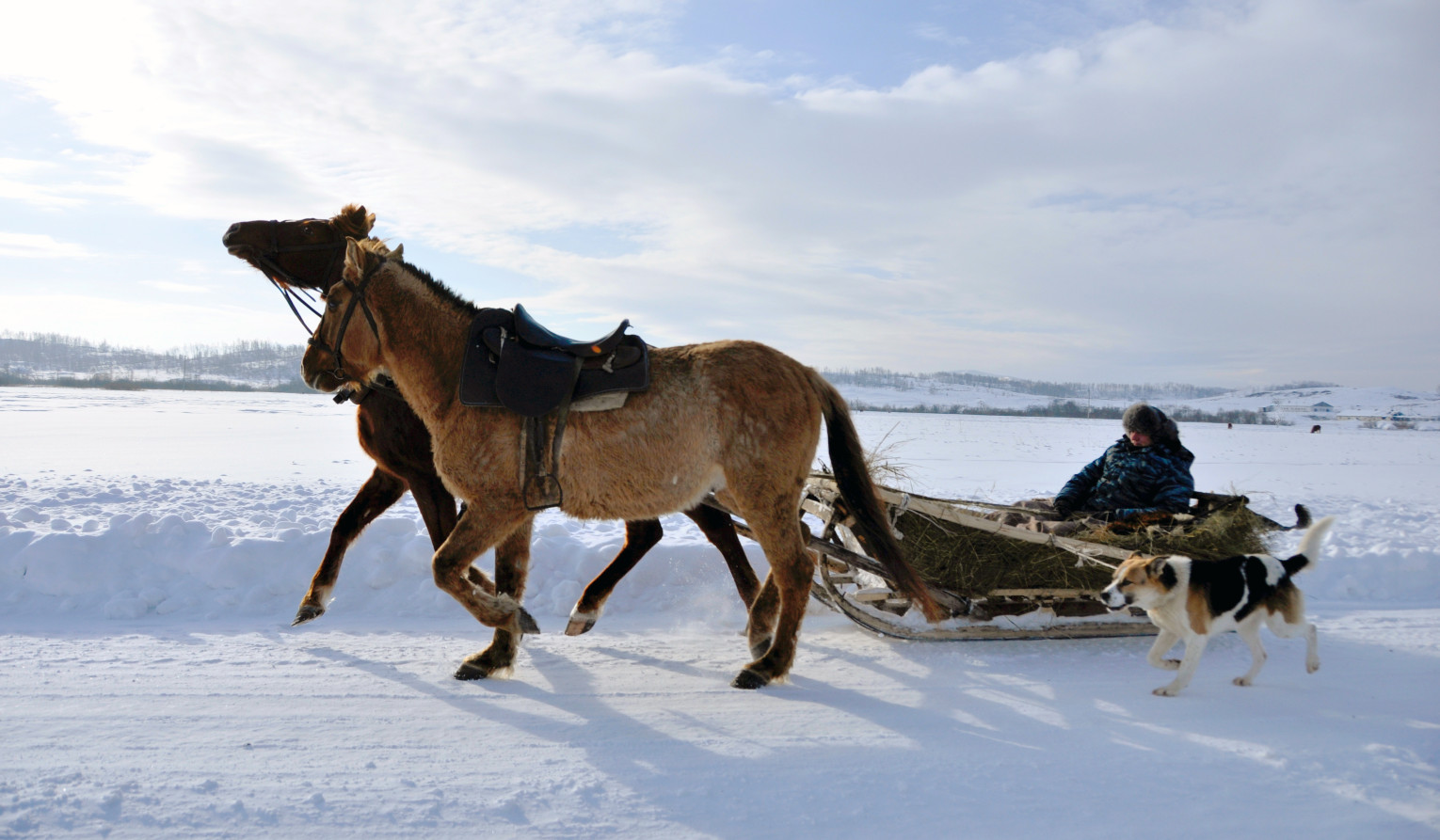 Зима в деревне. Фото: Мария Калечиц, участник конкурса РГО 