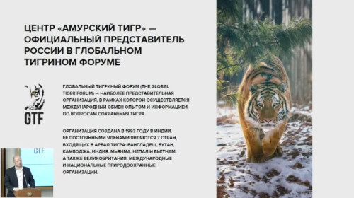 28.07.23. С. Арамилев. 75 лет охране тигра в России