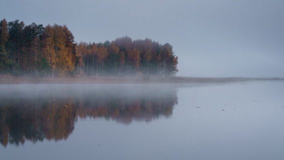 Looking for the Great Patriotic War machinery in the lakes of Pskov Oblast