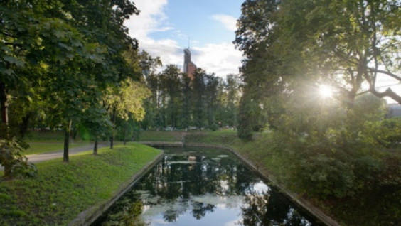 A Volunteer Cleanup in Krasnaya Presnya Park