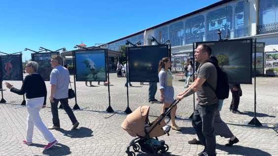 В морском порту Сочи открылась обновленная экспозиция РГО