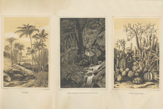 «Живой проводник научной мысли»: 200 лет со дня рождения Андрея Бекетова