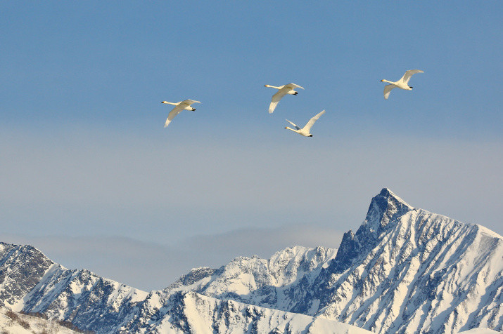 Above the Mountains