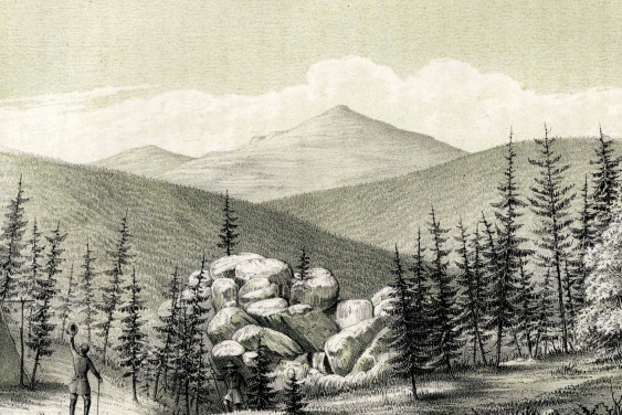 «Настойчивость к перенесению трудностей»: кредо Эрнста Гофмана