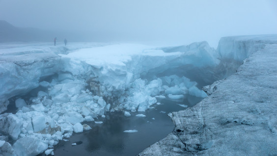 Ученые выяснили, как меняются экосистемы Земли Франца-Иосифа при таянии ледников