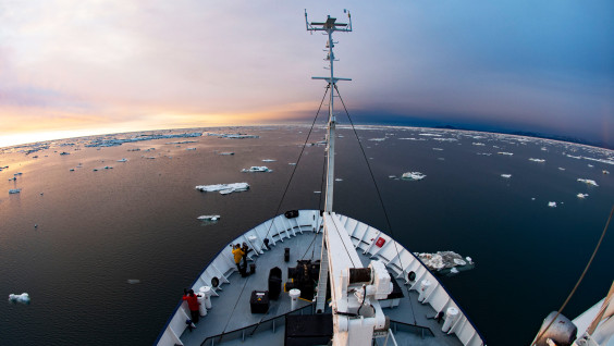 Продолжается набор учёных-добровольцев в экспедицию РГО в Антарктиду