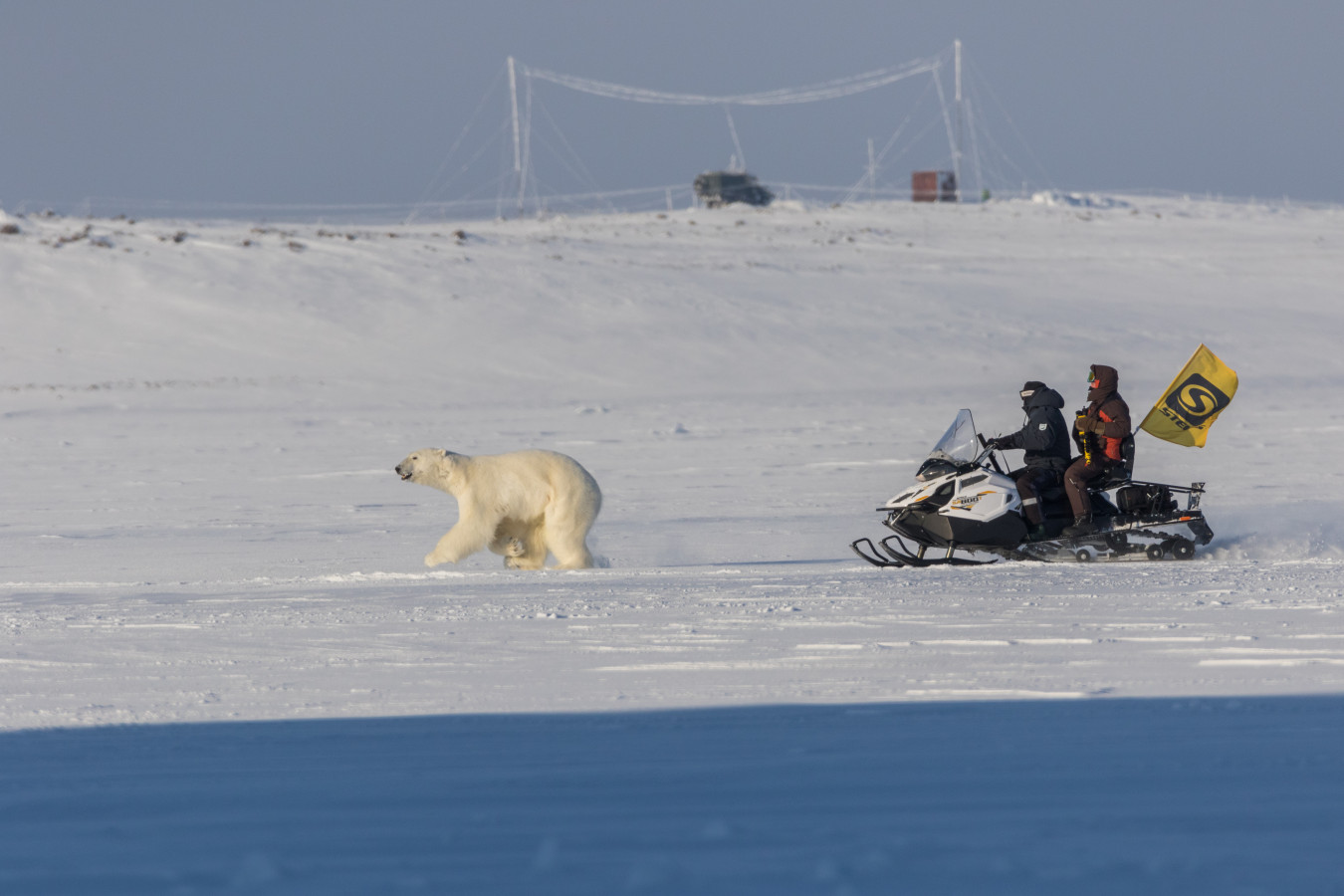 На снегоходе за белым медведем. Фото: Николай Гернет