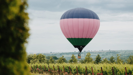 In vino veritas: топ-7 виноделен российского юга