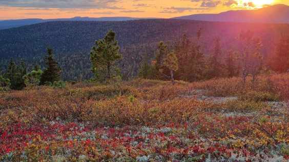 Великаны, боги, маги. Архаические сказки Северного Урала