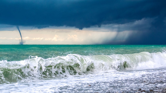 Слои веков, мумифицированные корабли и подводные родники: о становлении молодого моря