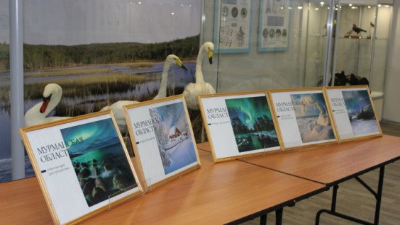 В Мурманске состоялись презентация и спецгашение зимних открыток РГО и Почты России