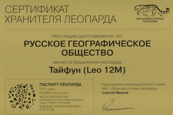 Наш Тайфун