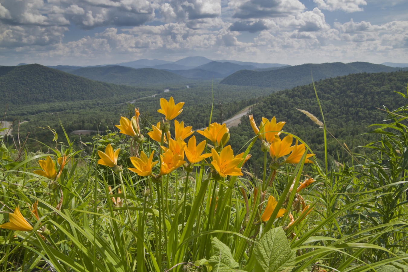 Национальный парк «Анюйский». Фото: Владимир Гневашев, участник конкурса РГО «Самая красивая страна»