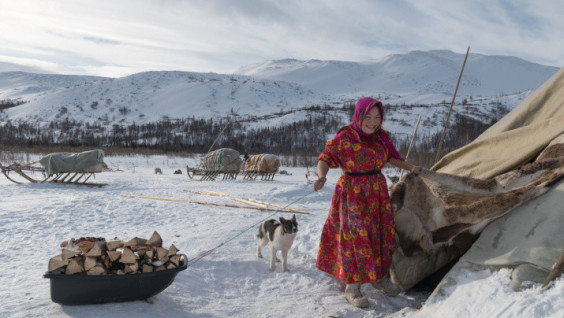 RussiaDiscovery Invites On A Journey To The Far North