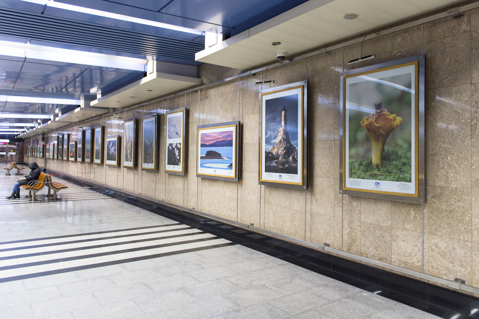 Фотовыставка "Самая красивая страна" в Московском метро