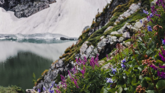 In Search of the Way: Secrets of the Ideal Trips of the Finalists of the Contest "Territory of Nature"