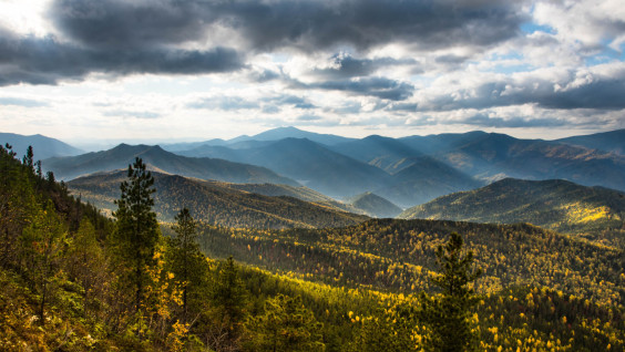Тропами Западного Саяна: в Красноярском крае при поддержке РГО обновили маршрут «ЭкоБорус»