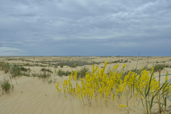 Путешествие в Волгоградскую область