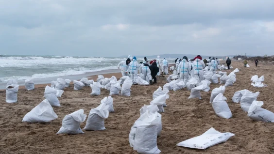 Там, где трудно: РГО помогает очищать берег Черного моря от мазута