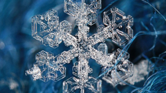 World Day of Snow