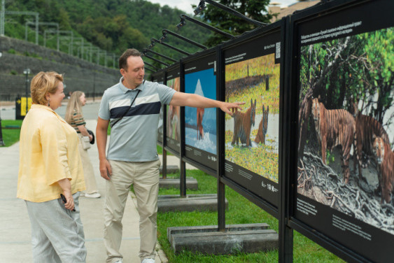 Более 1 млн человек посетили выставку «Хрустальный компас. Планета героев» в Красной Поляне