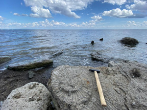 Ульяновск юрского периода