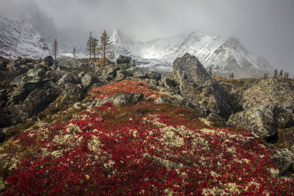 Лекция: «Многолетняя мерзлота и изменения климата: что будет с экосистемами и городами?»
