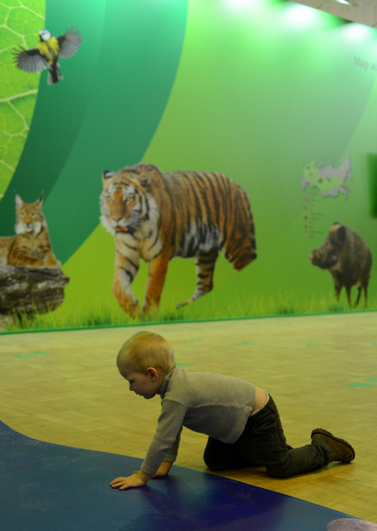 II Фестиваль Русского географического общества.