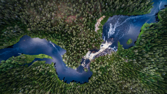 The RGS Begins Competitive Selection for the Forest Camp of the “Nature of Safety” Project in Karelia