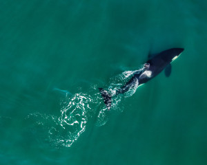 Первая люкс-экспедиция по Курилам