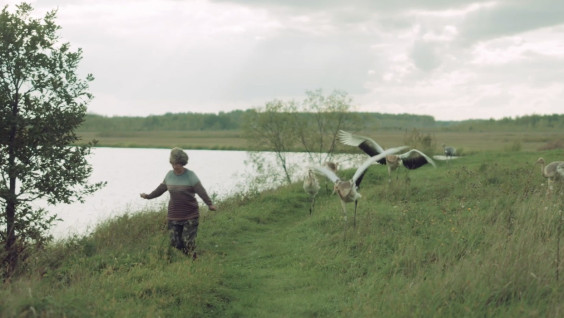 Альтернативный мир: где и как пересекаются люди и дикие животные и нужно ли им это