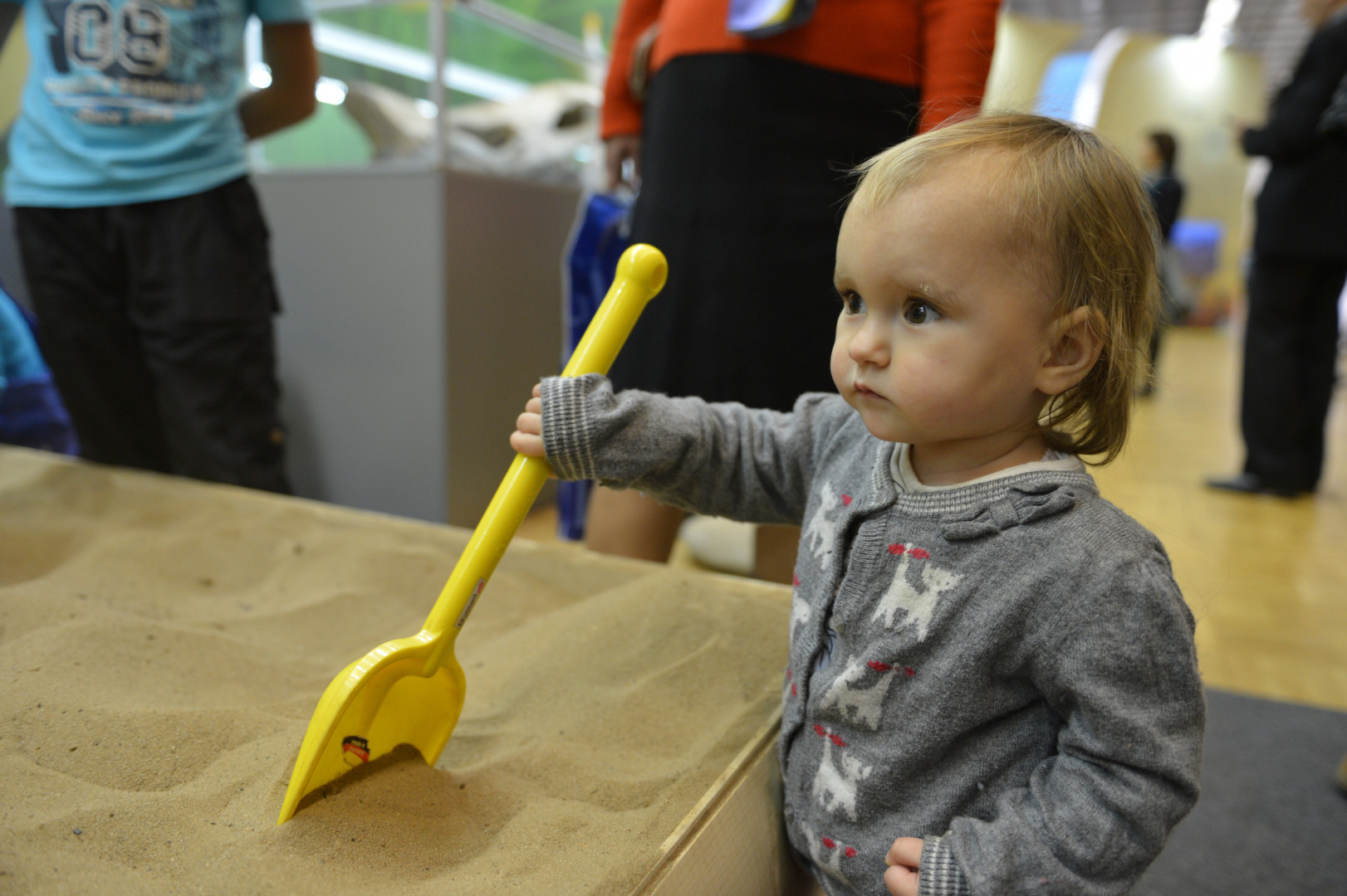 II Фестиваль Русского географического общества.
