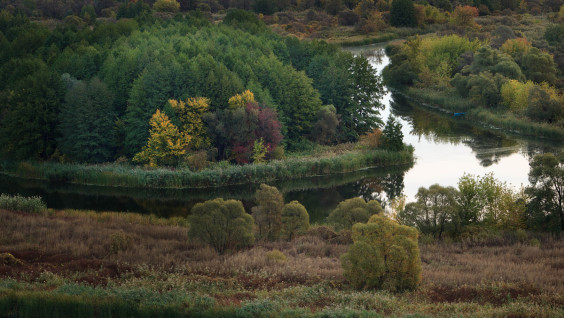Проект «Заповедное дело РГО» приглашает добровольцев в заповедник «Воронинский» в Тамбовской области