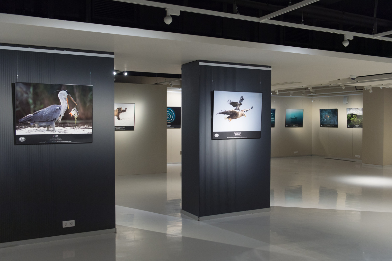 Выставка финалистов IV фотоконкурса «Самая красивая страна» в парке «Зарядье»