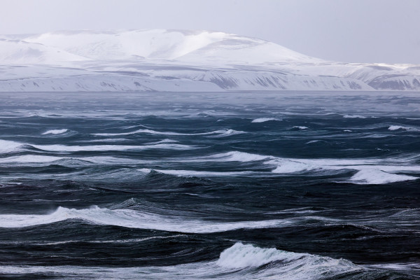Лекция «Климатические изменения в Арктике»