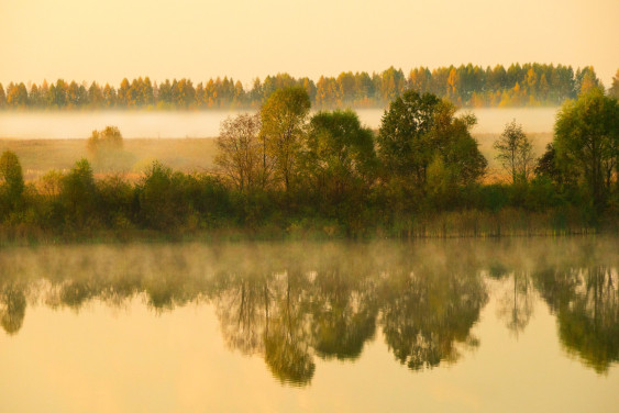 Проект «Заповедное дело РГО» приглашает добровольцев в Республику Чувашия