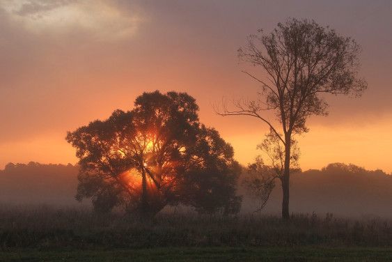 Проект «Заповедное дело РГО» приглашает добровольцев в национальный парк «Угра» в Калужской области