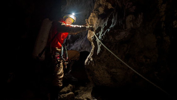 Успешно завершился сезон молодежного проекта «Природа БЕЗопасности»