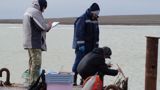 The Southern Scientific Center of the Russian Academy of Sciences Summed up the Results of the Second Stage of the Expedition to Lake Manych-Gudilo