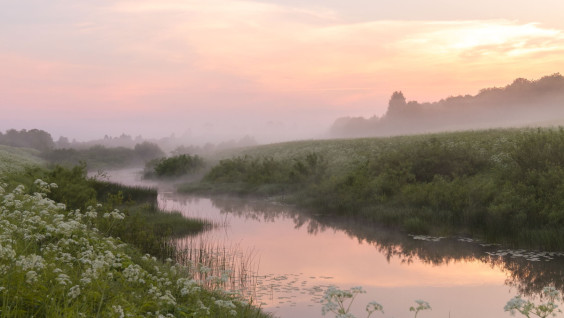 Проект «Заповедное дело РГО» приглашает добровольцев в Костромскую область
